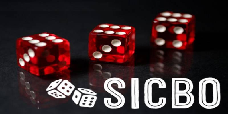 Các chiến lược giúp chơi Sicbo ít rủi ro tại may88