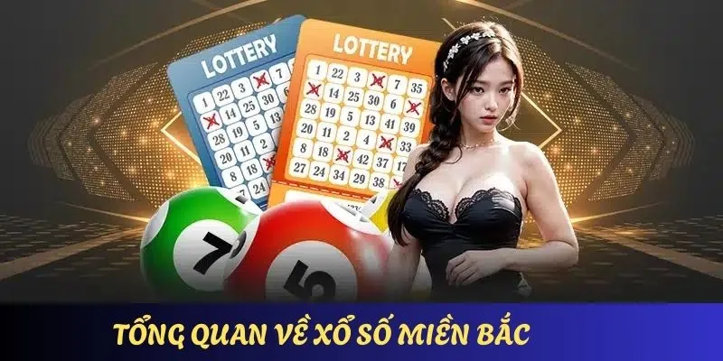 Các phương pháp soi cầu xổ số miền Bắc tại may88 đáng tin cậy nhất